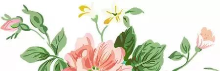 生儿育女到底是为了什么?看哭无数人……