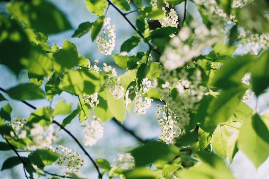 生儿育女到底是为了什么?看哭无数人……