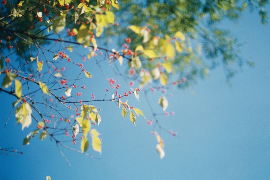 生儿育女到底是为了什么?看哭无数人……