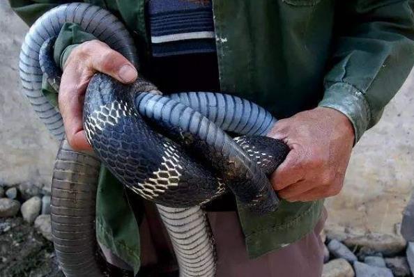 过山峰到底有多恐怖看完头皮发麻