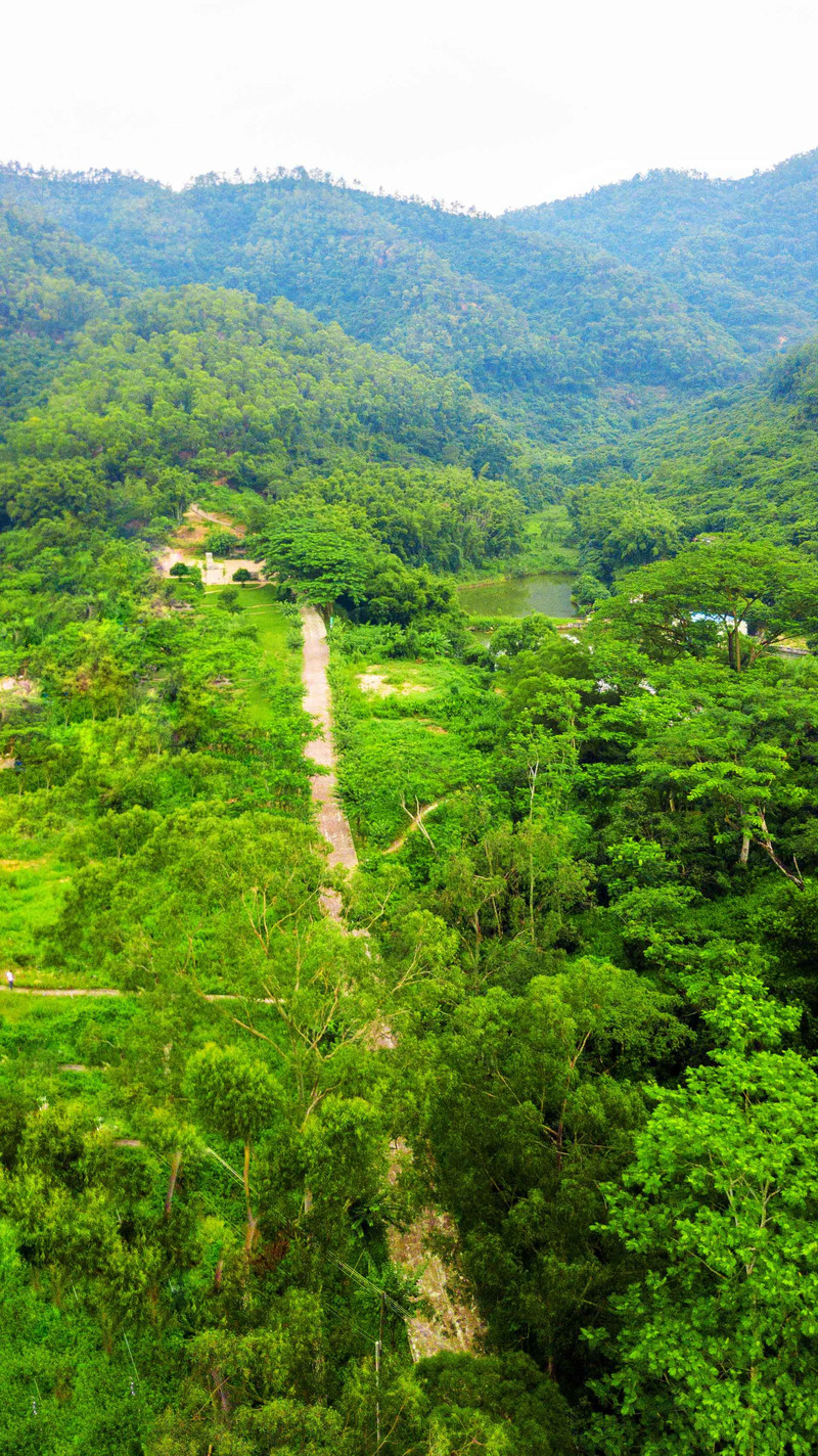 广东中山有条超漂亮的徒步线路,人少景美不收门票,资深驴友必去