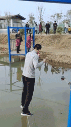 真不是碰瓷？你引擎盖上有鸟屎，大爷帮你擦擦！