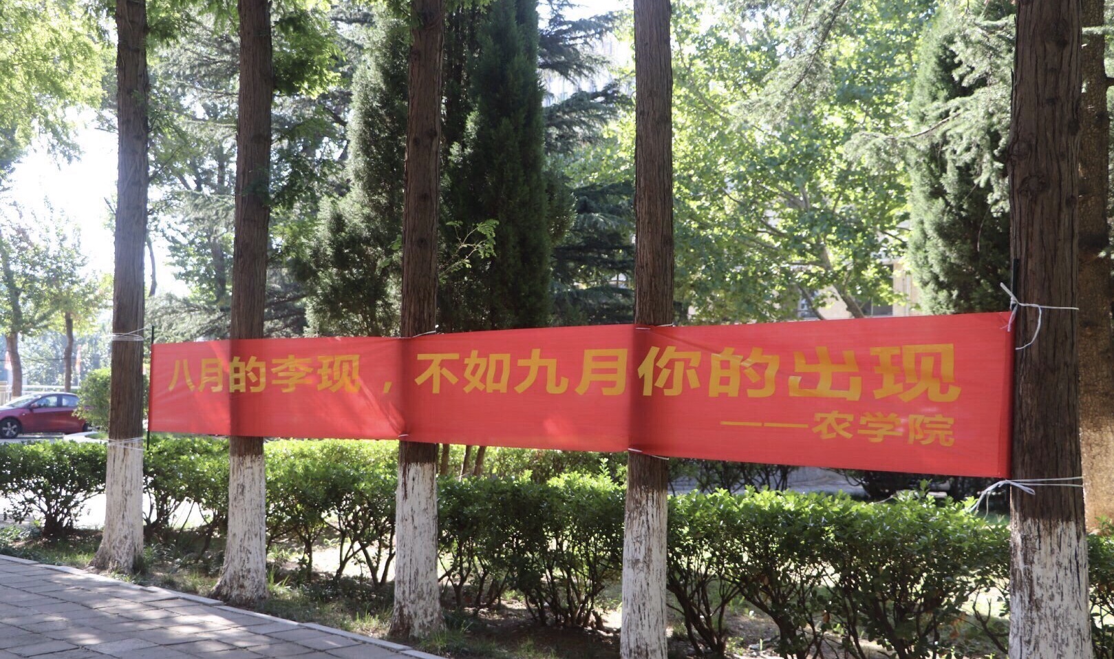 李现杨紫黄晓明火出圈出现在各大高校迎新横幅十分搞笑逗趣