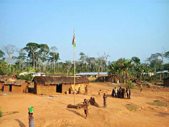 见游客就跑,繁衍的方式让人意外|部落|游客|印第安_新浪新闻