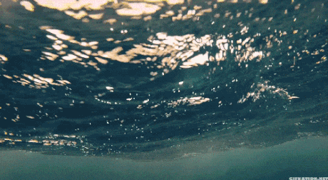 460_252gif 动态图 动图