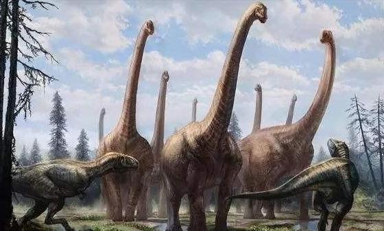 不同种类的恐龙体型样貌也差别很大,体型巨大的腕龙重达上百吨,体型较