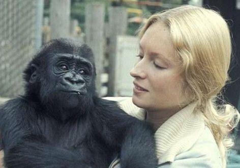 人类是猴子变来的?并非如此!但进化论科学性不容置疑,证据太多