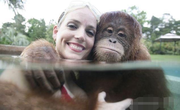 人类是猴子变来的?并非如此!但进化论科学性不容置疑,证据太多