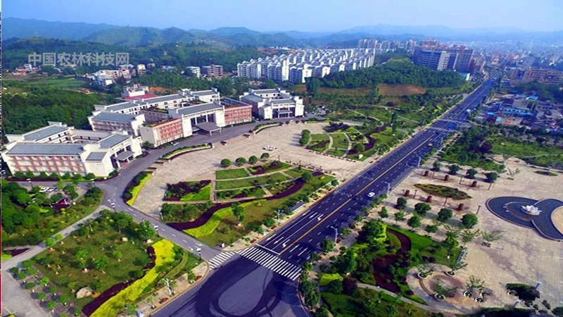 倾汝之城养生之都一县一品公益助农湖南汝城特色农产品白毛茶