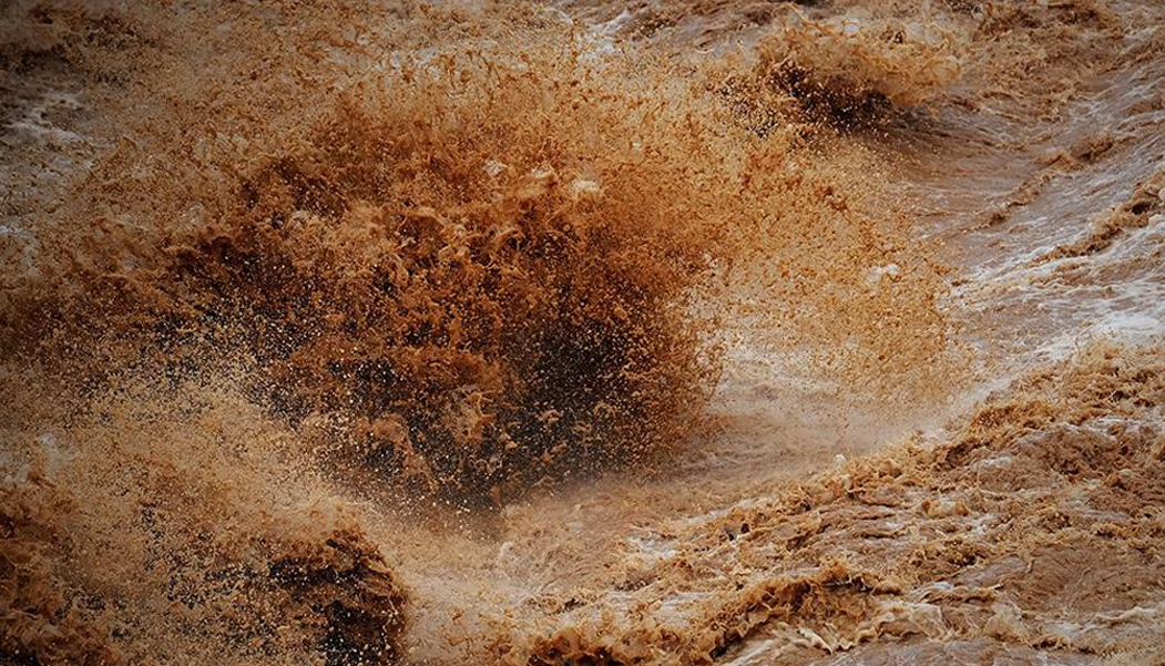 黄河水淤泥那么多那么河中鲤鱼是如何活下来的今天算长见识了