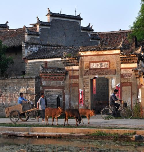 江西本土文化的产物,是赣派民居的代表作,江西省丰城白马寨古村