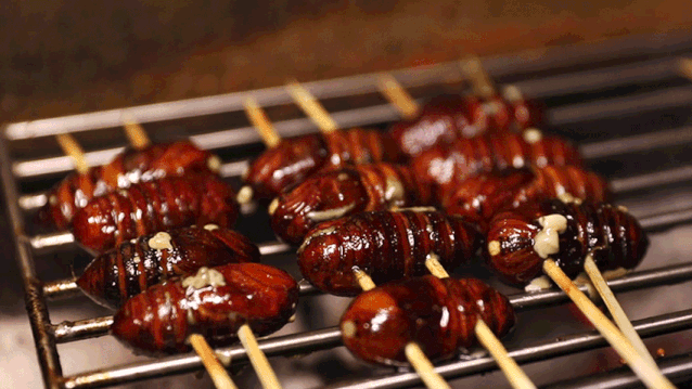 638_359gif 动态图 动图