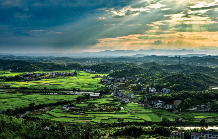 娄底放炮罚棋牌游戏开发成本与公司有哪些  娄底放炮罚游戏开发需要多少钱