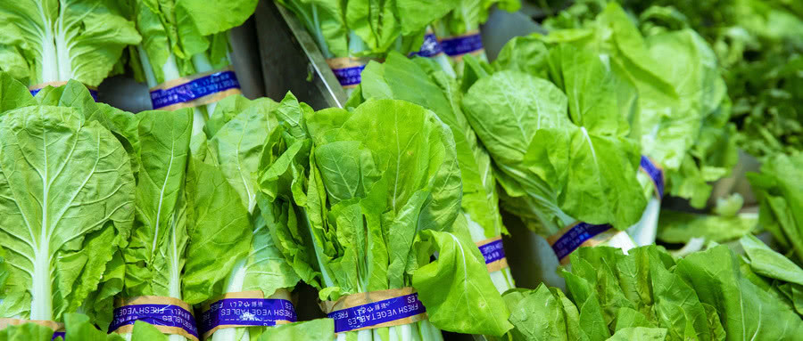 超市的菜价都比较贵，但人们还是抢着买，为什么不买农村老人的菜休闲区蓝鸢梦想 - Www.slyday.coM