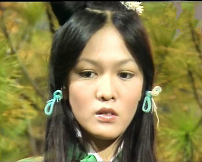 76版神雕侠侣剧中角色来一波看看他们都是哪些老戏骨饰演的