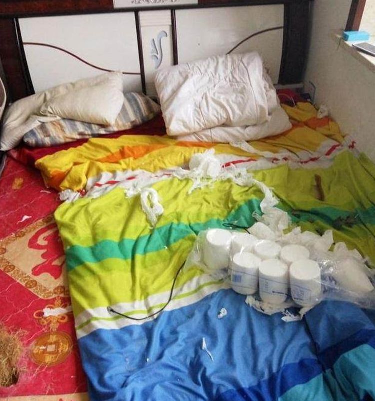 二哈不愧为拆家能手拆床技能使得太溜网友旧的不去新的不来