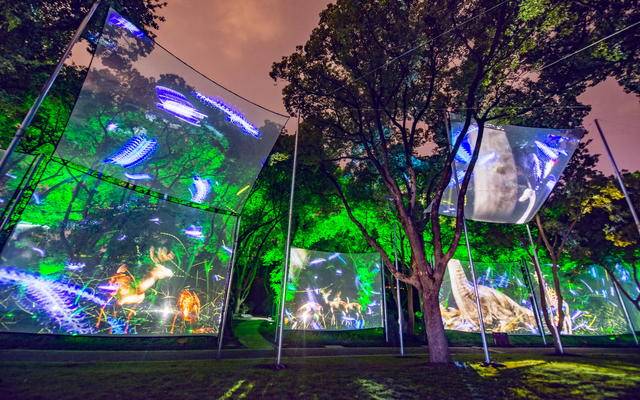 【视频】无锡梅园3d全息投影"复活"园林景观 游客仿佛置身原始森林