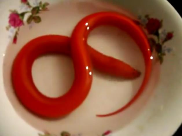 男子捕获罕见血鳝,富商十万求购竟遭拒绝,只因老人这句话