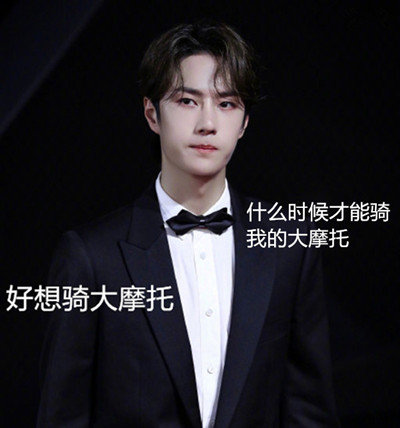 王一博称艺人和赛车手是文体不分家,网友:不愧是你