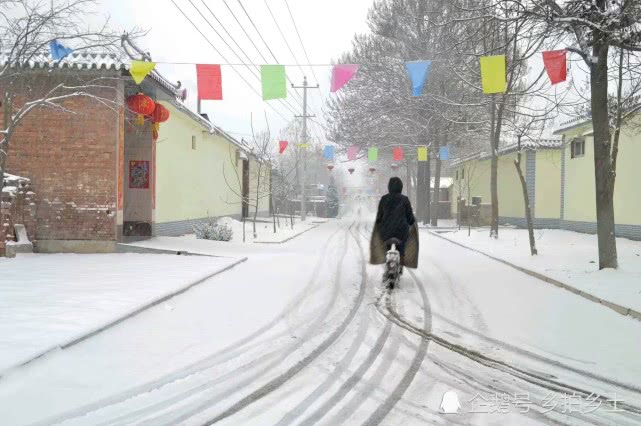 实拍高邑县农村雪后美景,在这个炎炎夏日带给你一丝凉意