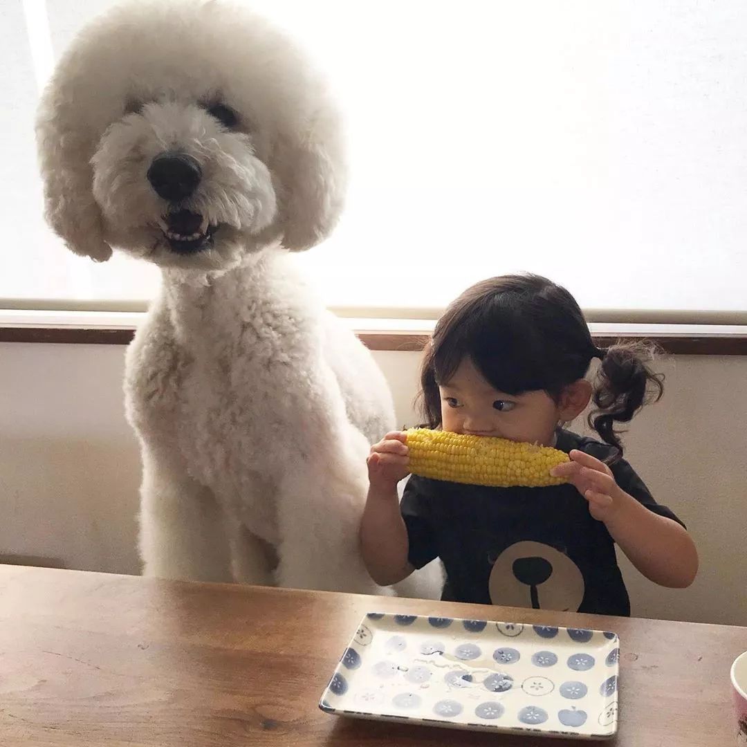 巨贵和萌娃的日常,也太太太太太太太甜了!