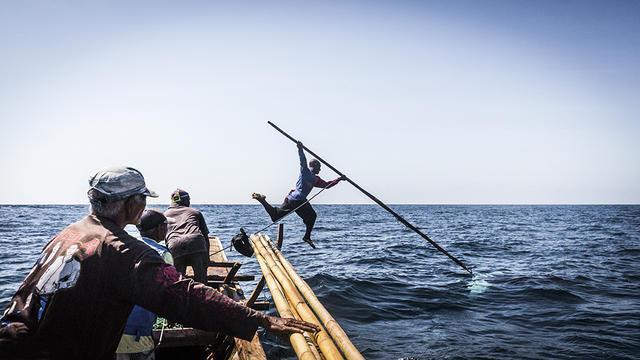 当捕鲸手目视发现大型海洋生物时,马上会举起竹竿鱼叉精彩的一跳.