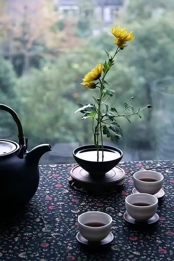饮茶人生:生活要做减法,喝茶要做加法