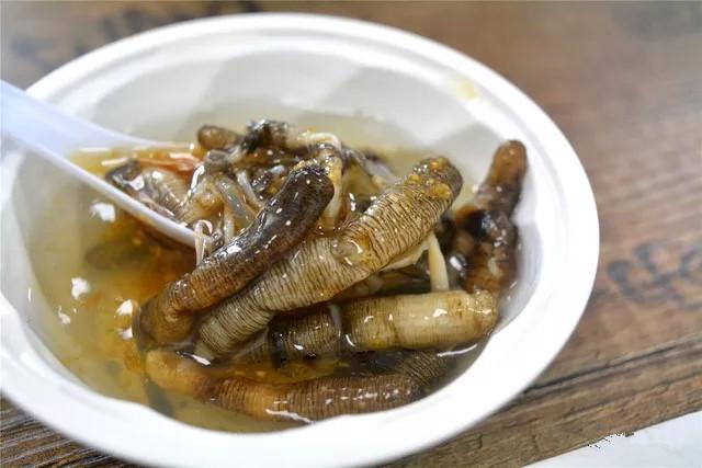 非一般的虫子沙虫虽然恶心了点但却有海人参之称