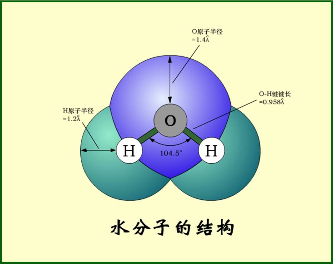 水分子中只有三个原子,有些大分子含有较多的原子,组成人体的一些蛋白