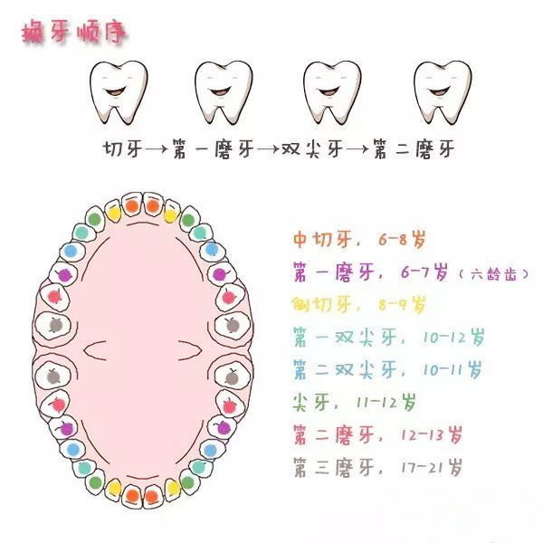 宝宝的换牙期到来,乳牙迟迟不掉,四大原因,家长别含糊