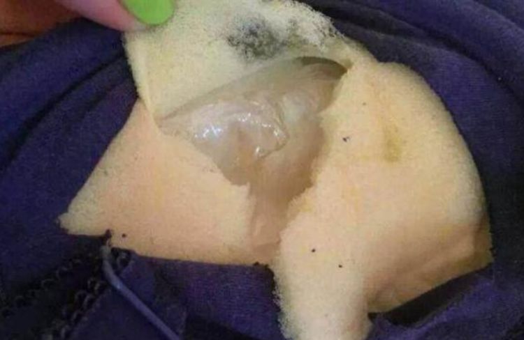 发现里面的棉早就已经发黑长霉,而且里面还可以看到一些小小的虫子