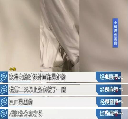 大事件:大入住酒店 早上醒来发现被子里有一摊血(图)