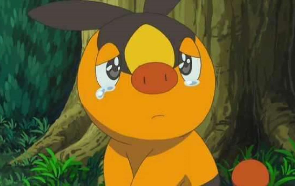 小智捡到的神奇宝贝有谁注意到了全是火系神兽