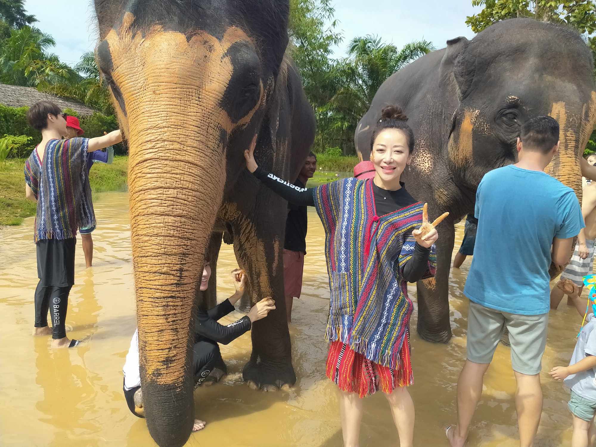 古装女王陈紫函化身大象守护员微博直播引发粉丝热议