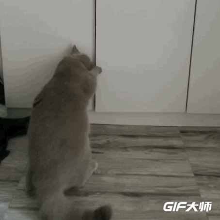 衣櫃容量告急|9個不看後悔的換季收納小技巧_新浪眾測