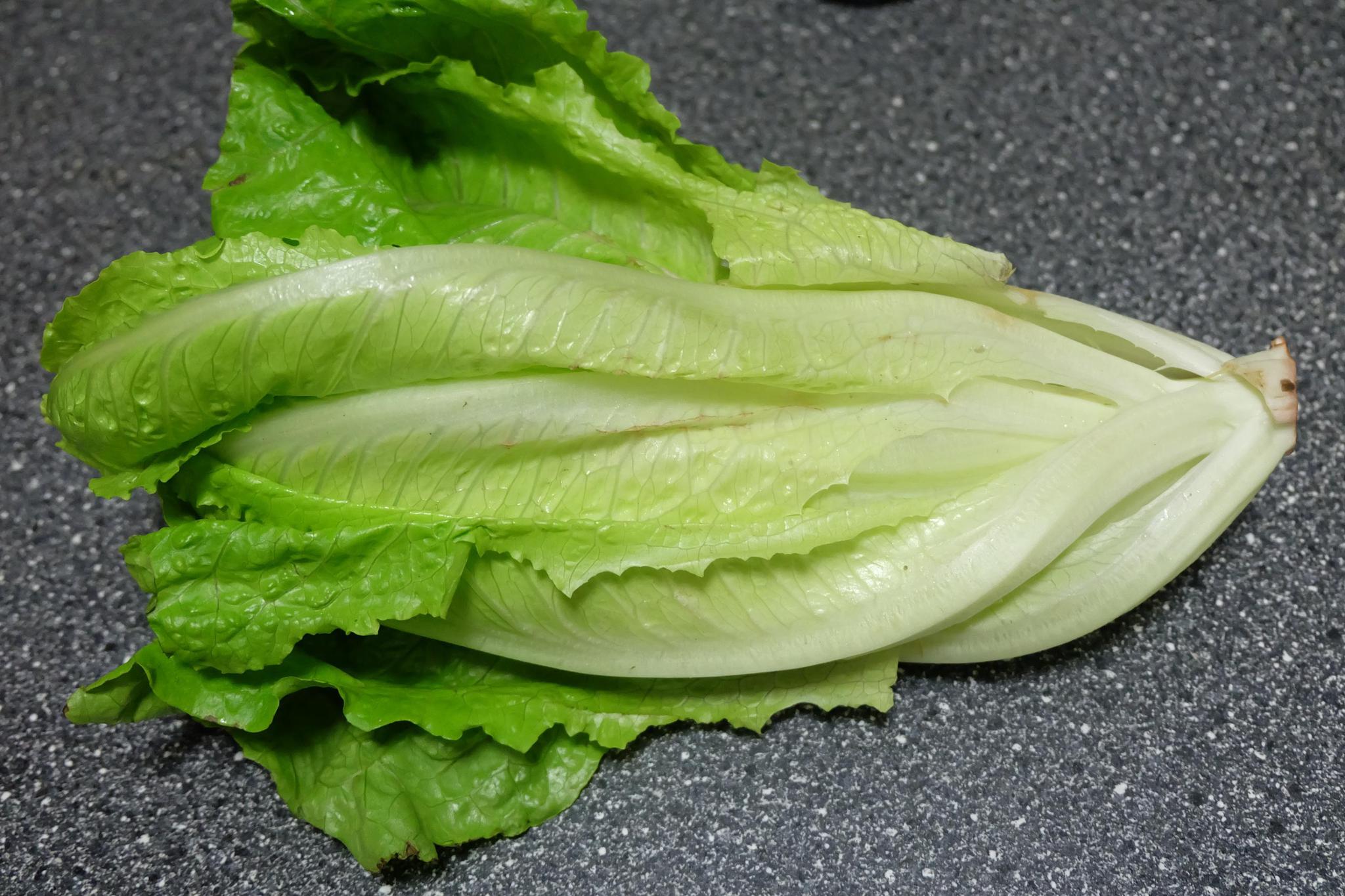 过节饮食要适度,这道青菜营养好,不用炒只要拌,简单易做还瘦身|生菜|