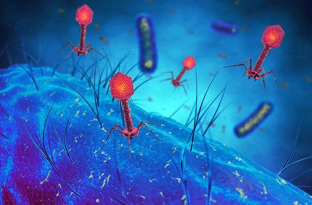 它们所产生的毒素能与我们的蛋白质相结合,而外星细菌很难做到这一点