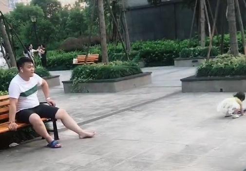 奶爸"扔拖鞋式"遛娃,父爱"稳"如泰山,一动不动