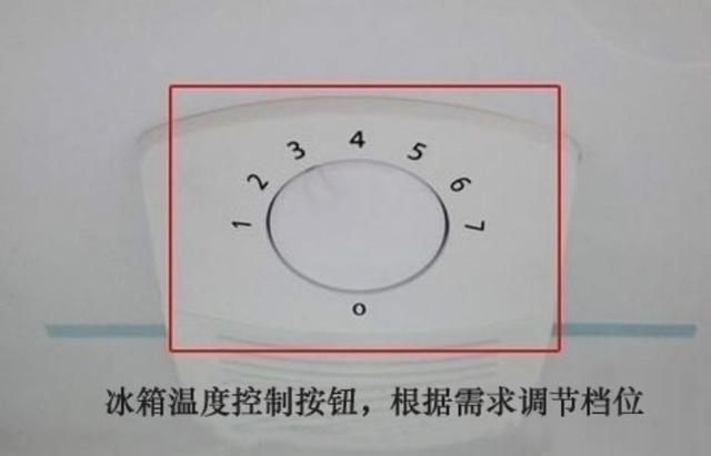 冰箱的这个小旋钮不注意难怪每月白交好多电费