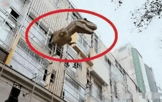 女子逛街购物,看到路人都在抬头看,自己抬头一看,顿时被吓一跳