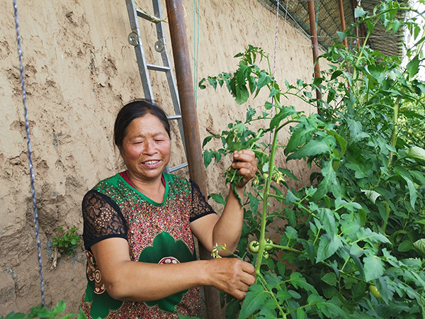 边疆党旗红｜“融合党建”助力下的林西脱贫攻坚之路