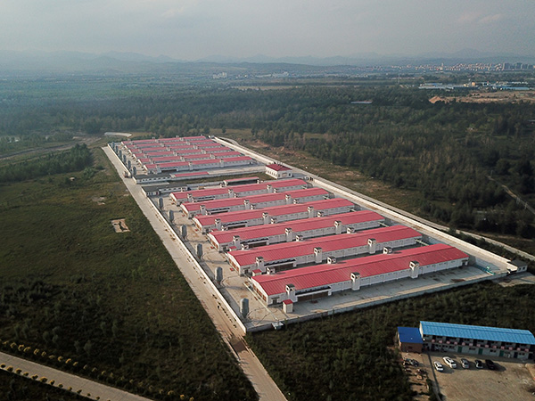 边疆党旗红|“融合党建”助力下的林西脱贫攻坚之路