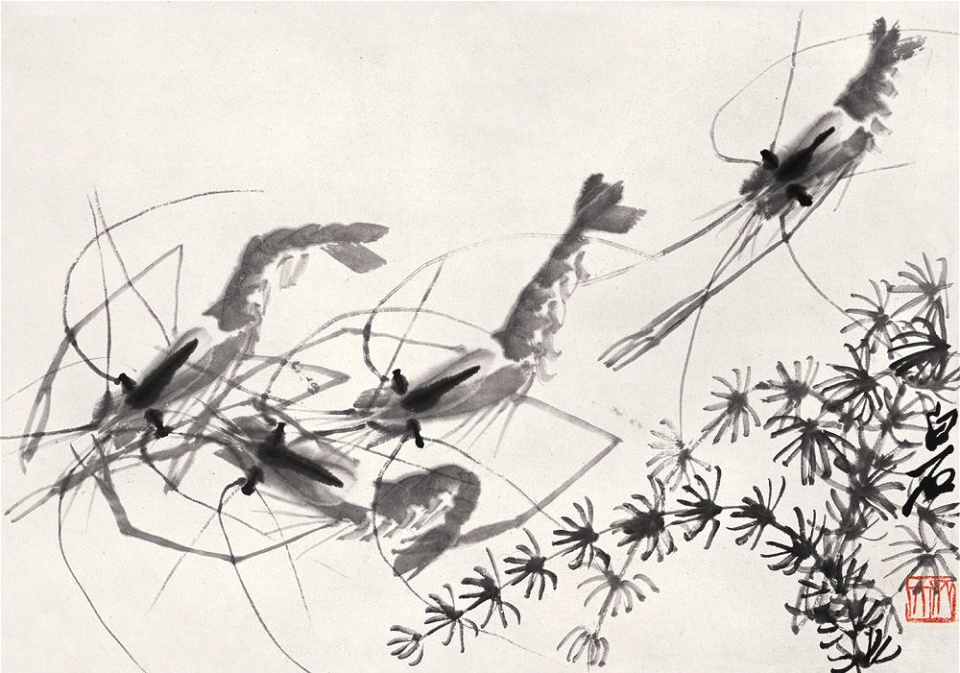 齐白石画了只红虾放大28倍透明虾头里还有画网友太可怕了