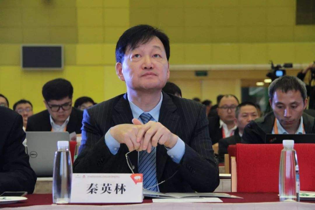 中国养猪巨头崛起:一年卖出1100万头猪,仅次于温氏市值远超双汇