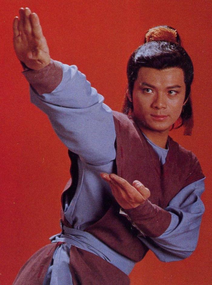 分享一组靖哥哥黄日华的武打招式,83版射雕情怀永在