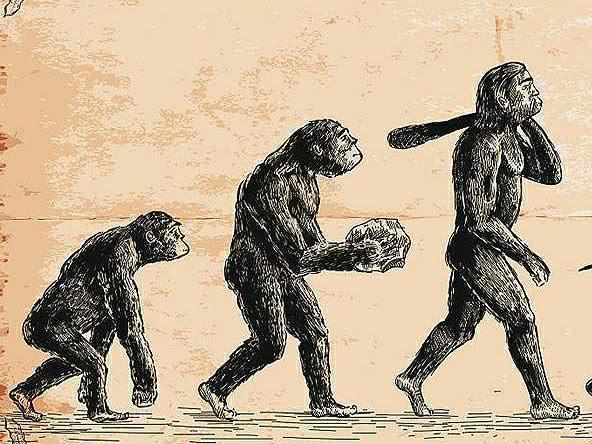 几种动物,但却没有统治地球,知道原因很无语|行走|地球|人类_新浪新闻