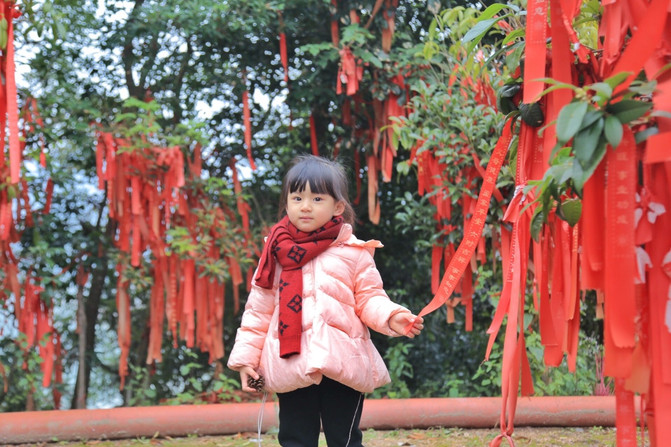 泰順?biāo)厩爱屪彐?zhèn)白鶴山莊白鶴飛渡 世界第一長人行懸索橋