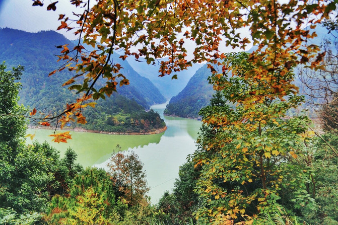 泰顺司前畲族镇白鹤山庄白鹤飞渡 世界第一长人行悬索桥