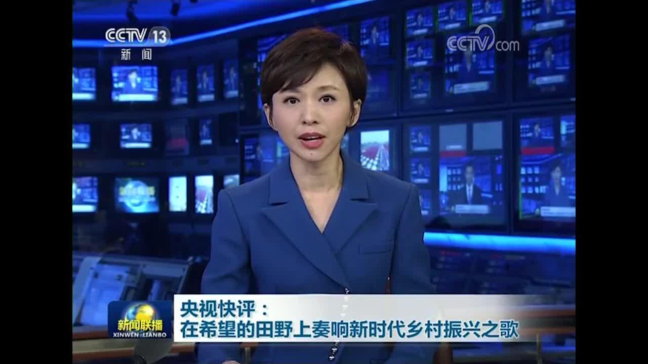 央视快评 在希望的田野上奏响新时代乡村振兴之歌 含视频 手机新浪网
