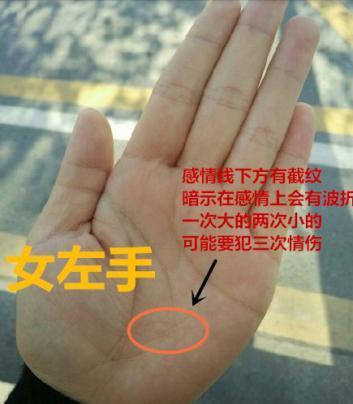 有此手相者迟早必能成大器天生富贵命富甲一方